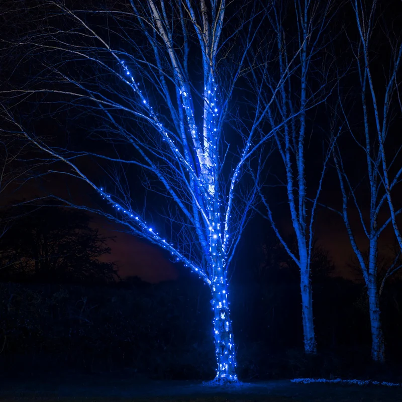Pro Connect 50m 500er LED Lichterkette blau koppelbar schwarzes Kabel IP67