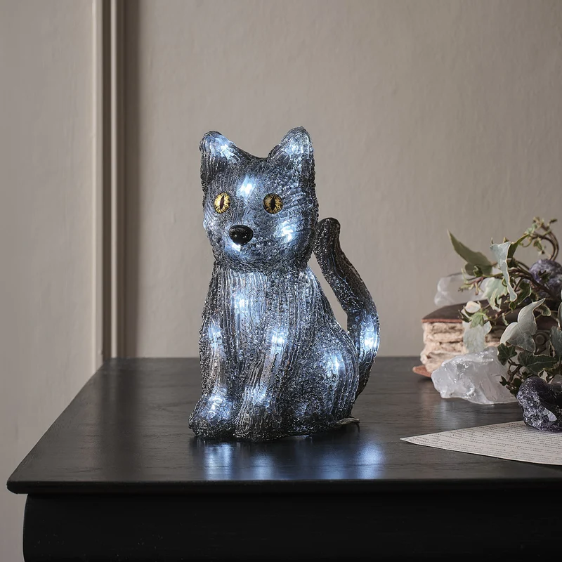 "Jet" die LED-Halloween Katze für den Außenbereich