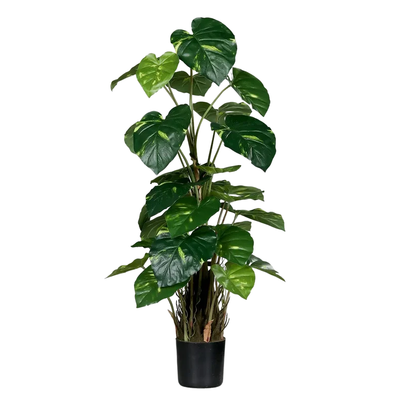 Künstliche Pothos - Jacobo | 82 cm