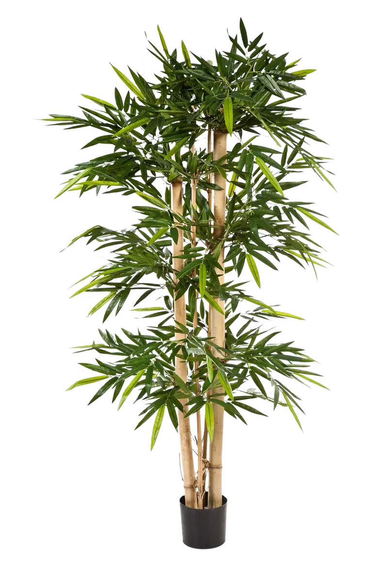 Künstlicher Bambus - Martha | 180 cm