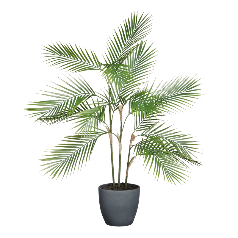 Künstliche Bergpalme - Nolte | 100 cm