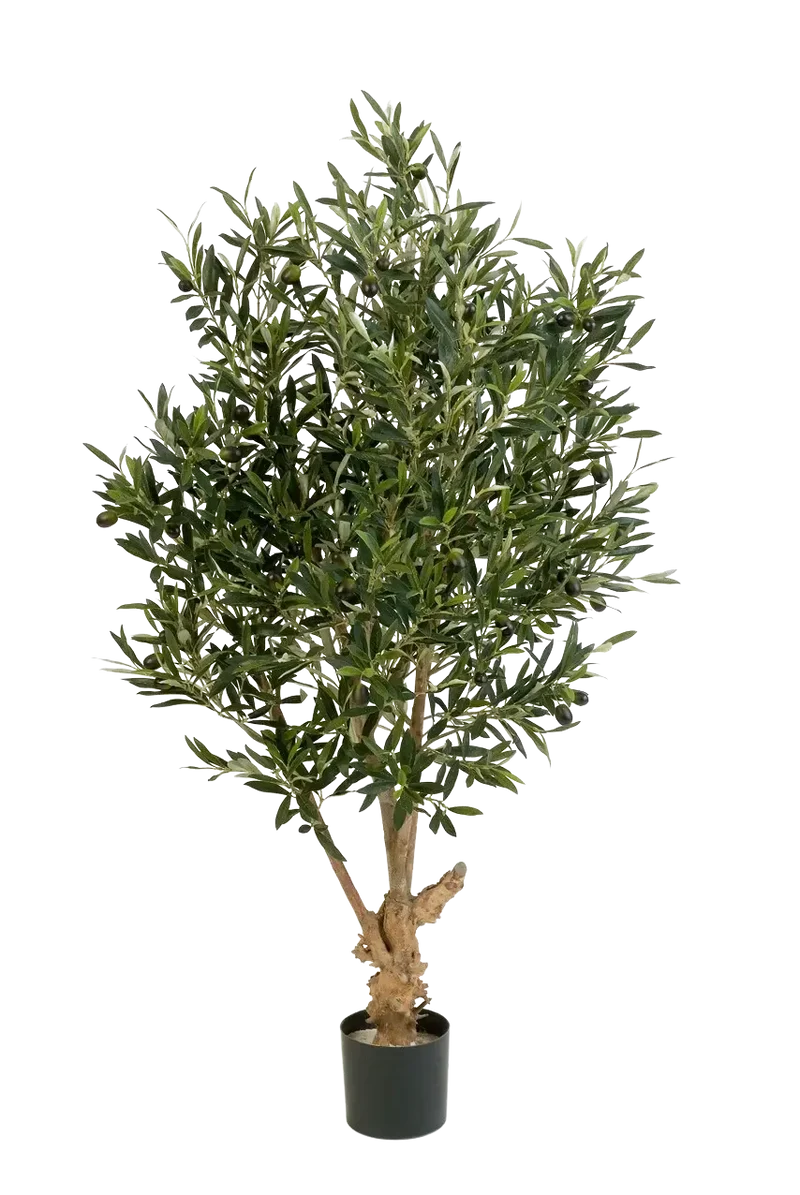 Künstlicher Olivenbaum - Ian | 120 cm