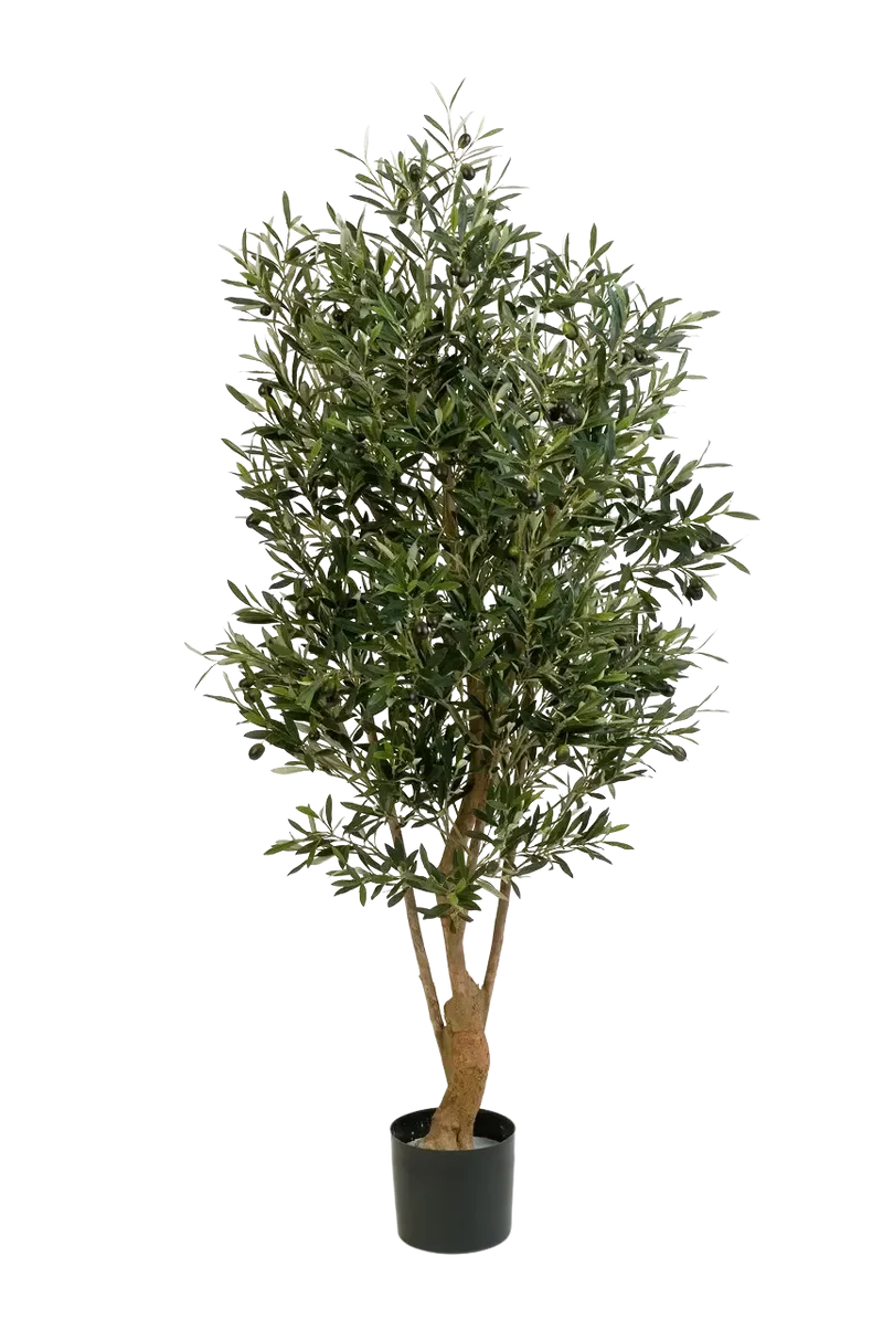 Künstlicher Olivenbaum - Ian | 170 cm