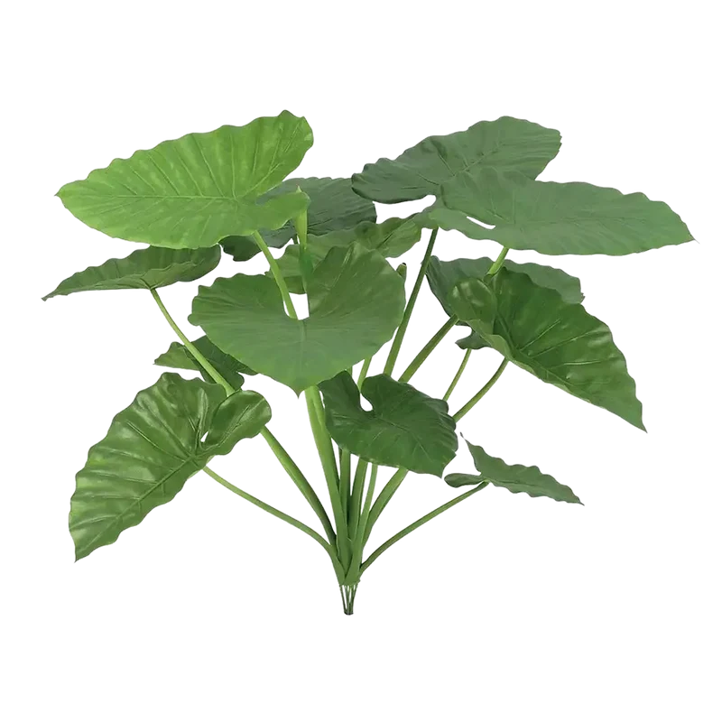 Künstliche Alocasia - Felix | 84 cm