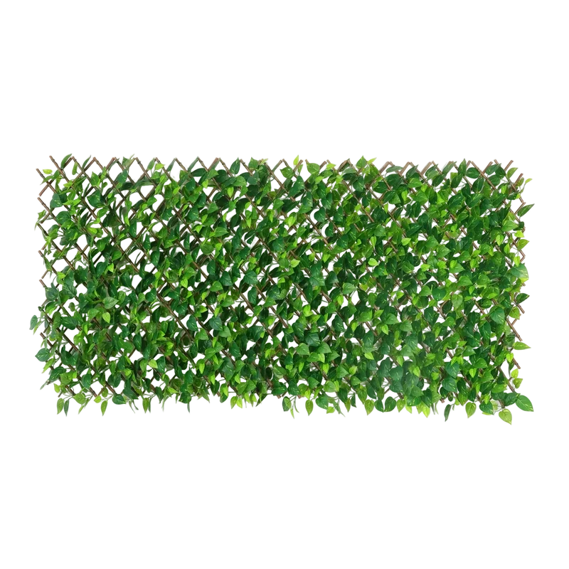 Flexible Pothos Pflanzenwand - Melvin | 130-200 cm