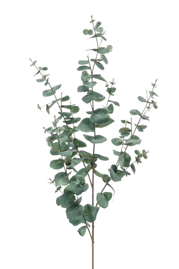Künstlicher Eukalyptus Zweig Coa
