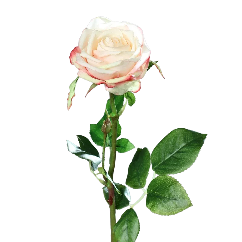 Künstliche Rose - Pam | 66 cm
