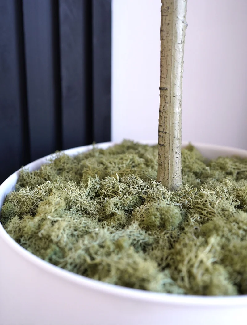 Preserved Moss - Dark Green (200g)