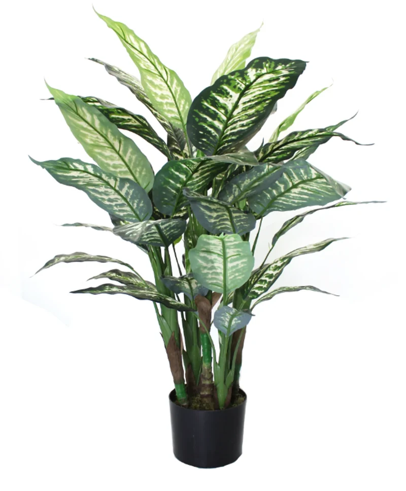 Künstliche Dieffenbachia – Calienne | 70 cm