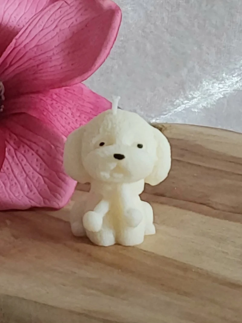 Kleines Hündchen