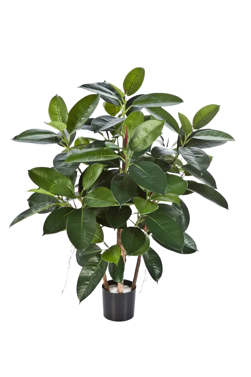Künstlicher Gummibaum - Laura | 90 cm