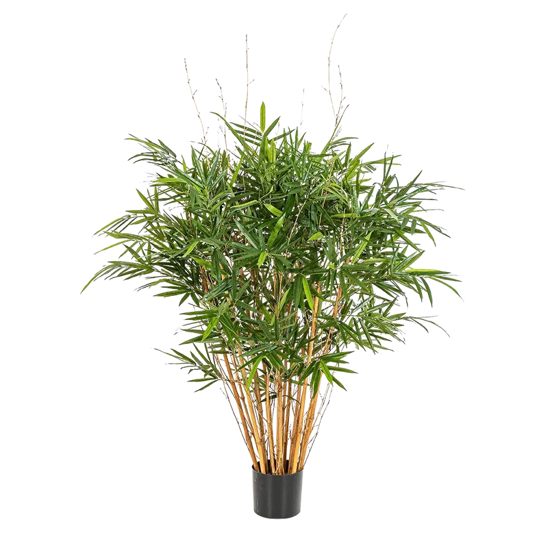 Künstlicher Bambus – Kaedor | 150 cm