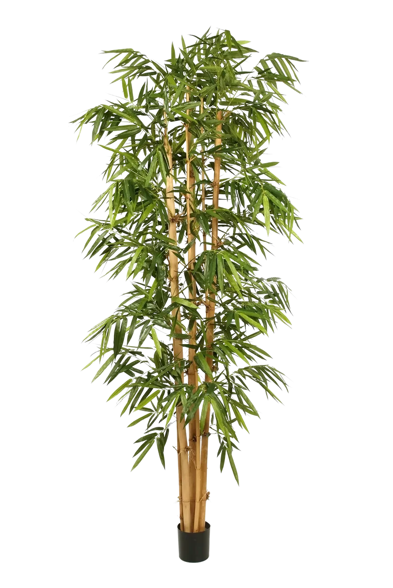 Künstlicher Bambus – Kenai | 150 cm