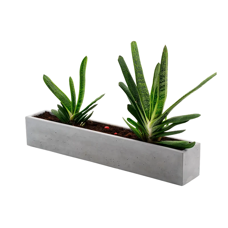 Beton Blumenkasten grau, länglich