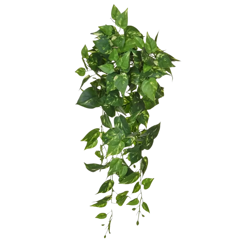 Künstlicher Pothos - Walter | 80 cm