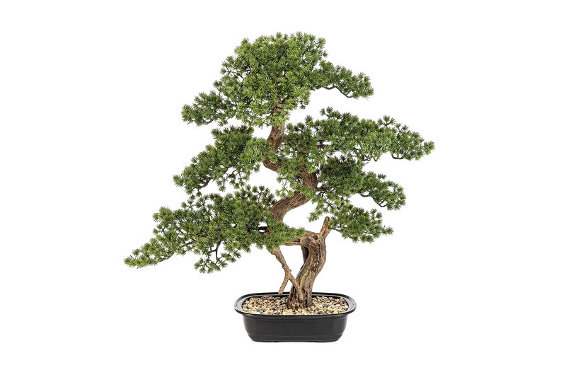 Künstlicher Bonsai - Rupert | 68 cm