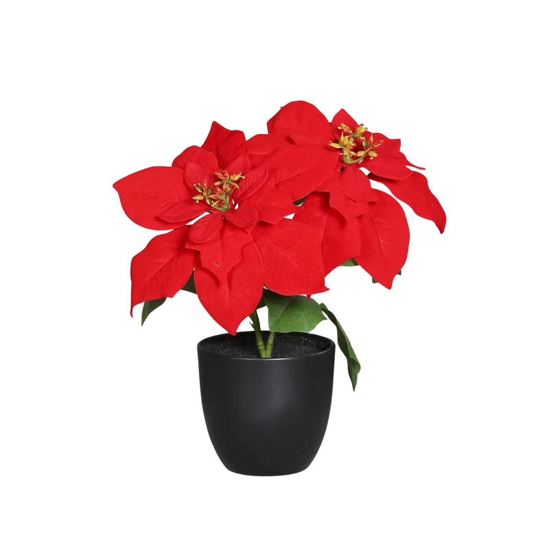 Künstliche Poinsettia - Cady | 32 cm, im Topf