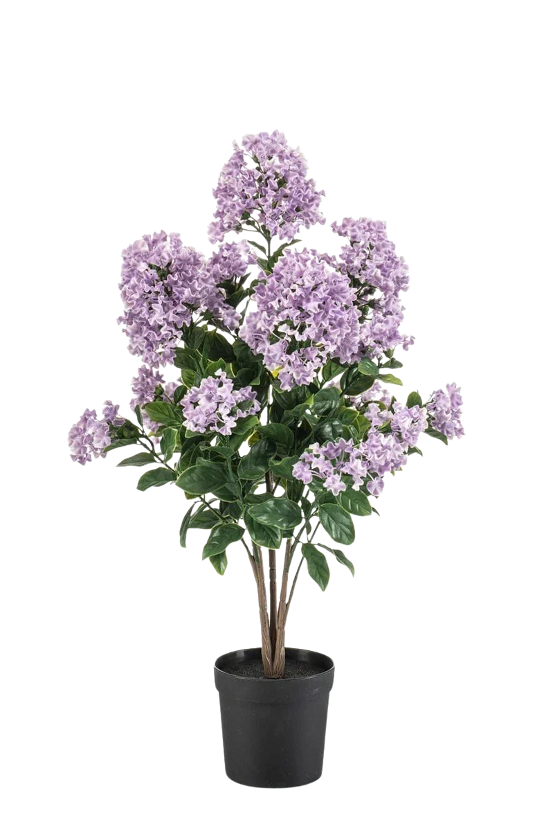 Künstlicher Flieder - Pina | 65 cm