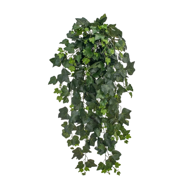 Künstlicher Hänge-Efeu - Tien | 75 cm