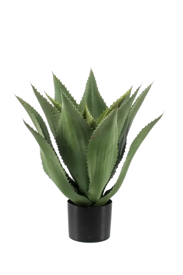 Künstliche Agave - Aki | 55 cm, im Topf