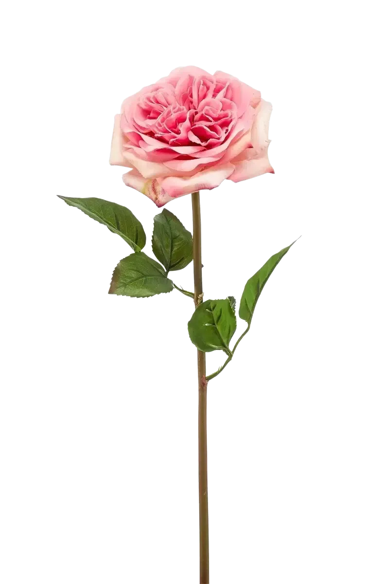 Künstliche Rose - Fleur | 60 cm
