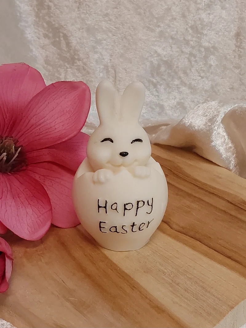 Hase in Eierschale