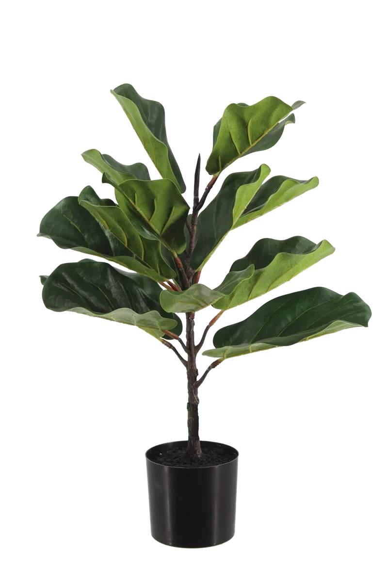 Künstlicher Ficus Lyrata - Luan | 60 cm