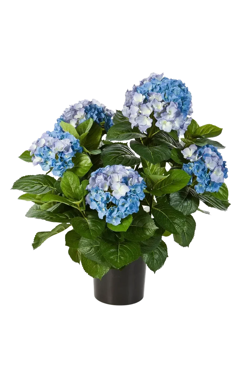 Künstliche Hortensie - Naomi | 53 cm