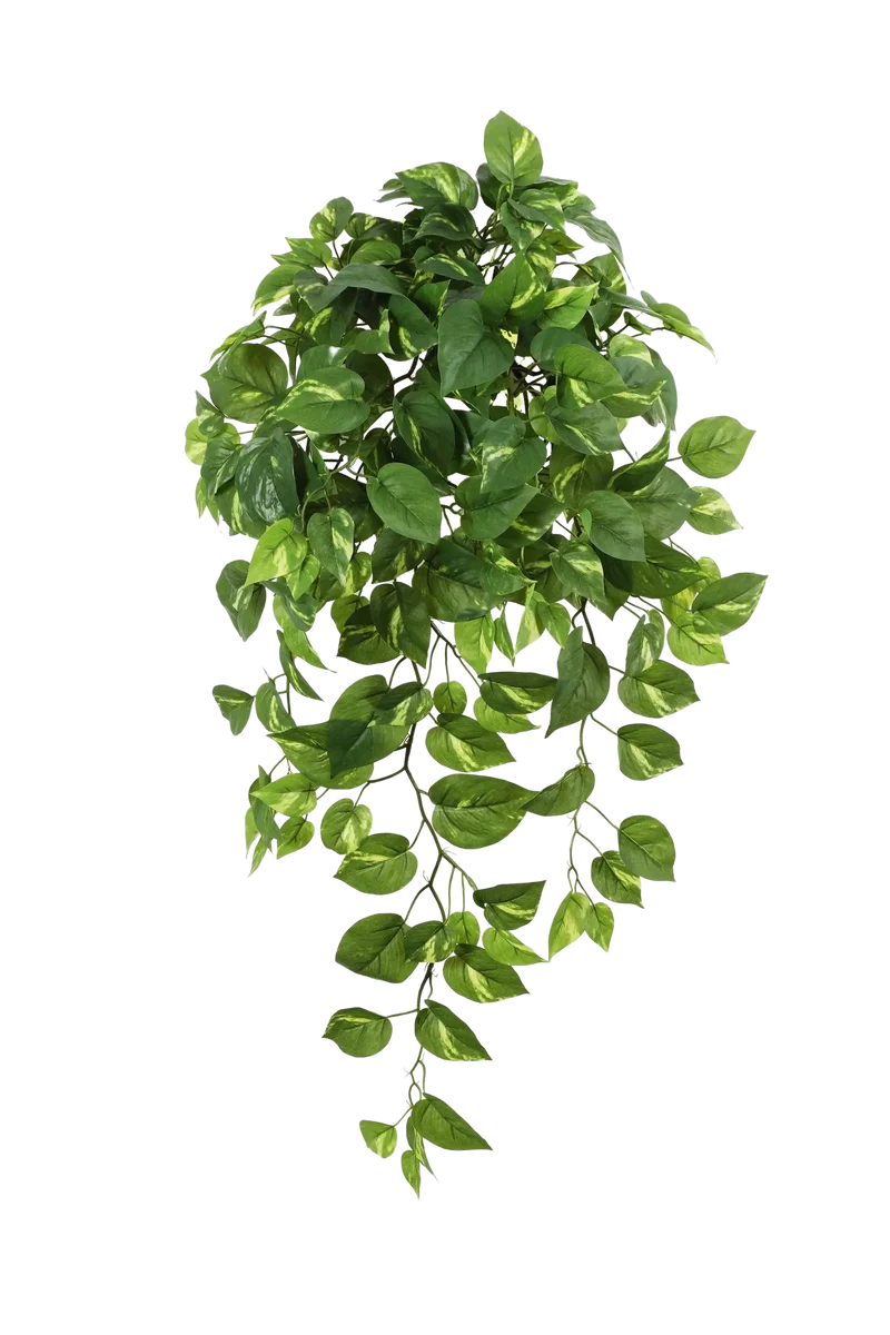 Künstlicher Hänge-Pothos - Bella | 85 cm