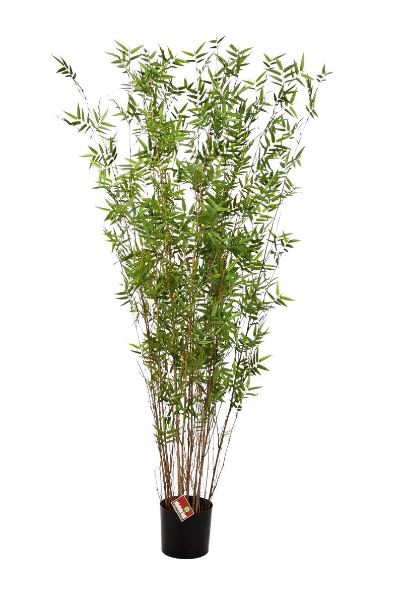 Künstlicher Bambus - Louis | 190 cm