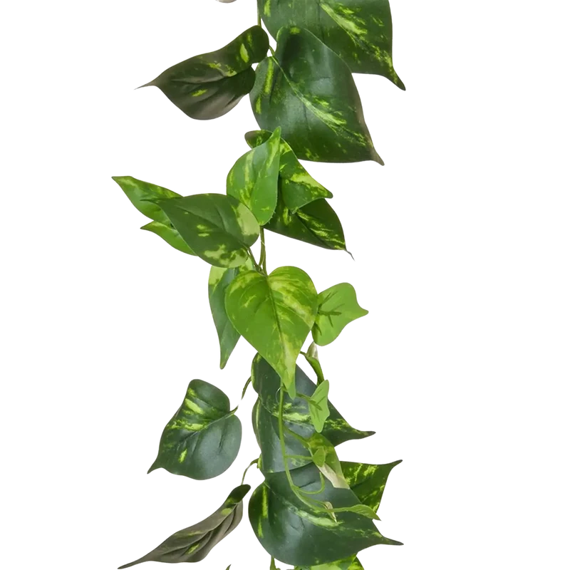 Künstliche Pothos Girlande - Christian | 220 cm