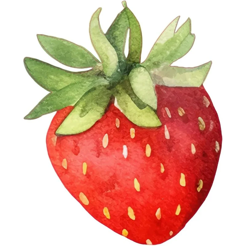 200 Aufkleber Erdbeere 4 x 5 cm – Sticker auf Rolle in Aquarell-Optik glänzend