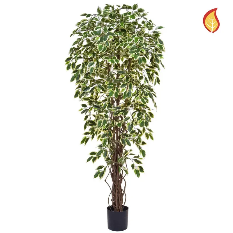 Künstlicher Ficus - Rosemarie | 180 cm