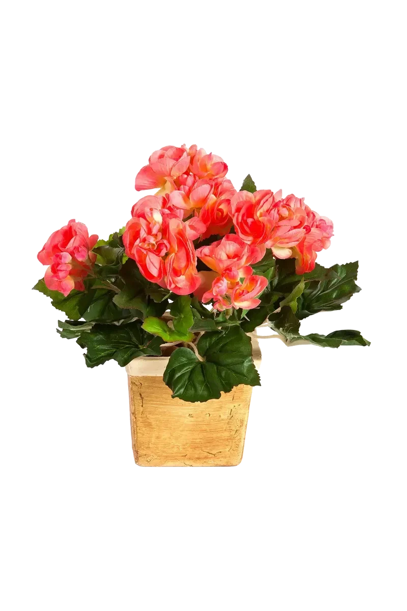 Künstliche Begonie - Steckpflanze - Tom | 20 cm