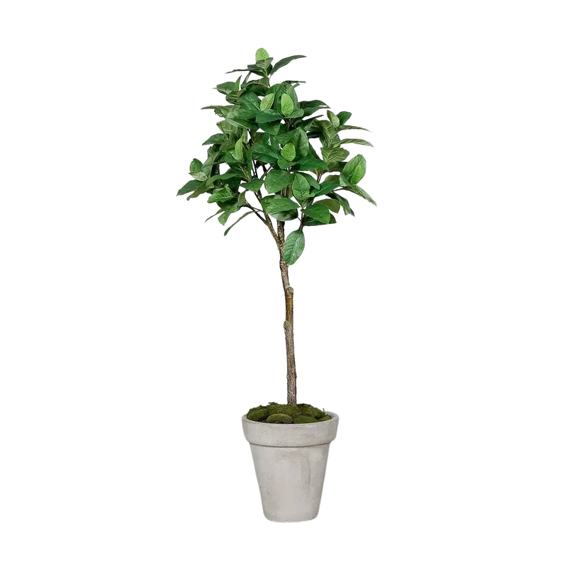 Künstlicher Kaffeebaum - Albus | 150 cm
