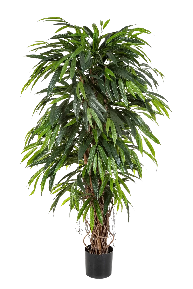 Künstliche Longifolia - Steven | 180 cm