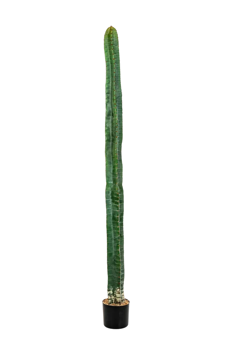 Künstlicher Kaktus - Henning | 180 cm