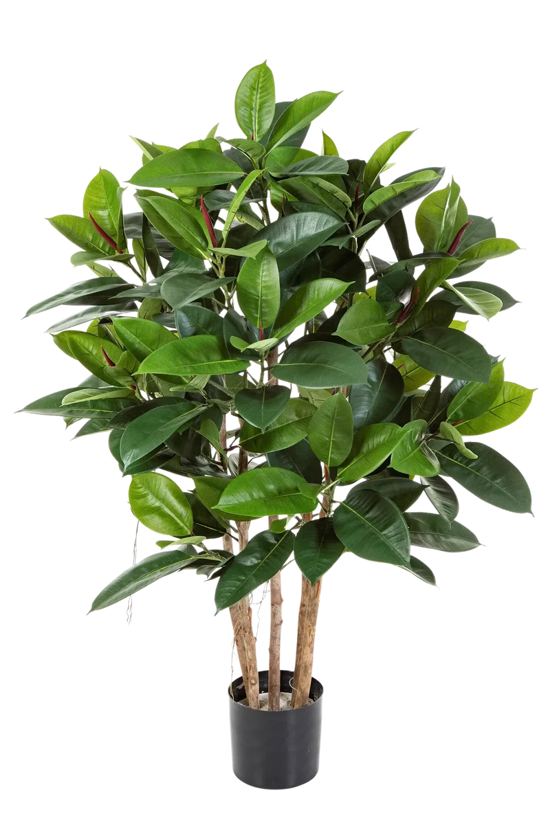 Künstlicher Gummibaum - Laura | 120 cm