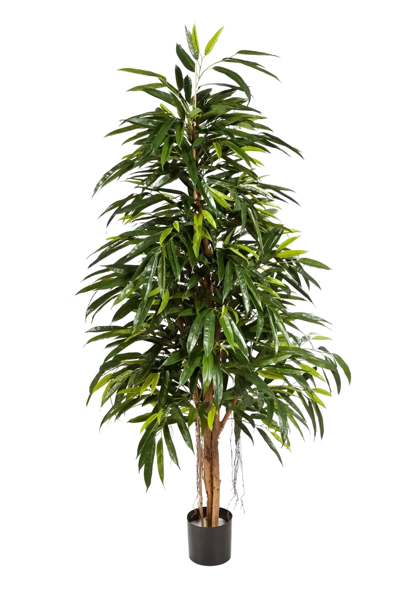 Künstliche Longifolia - Steffen | 210 cm