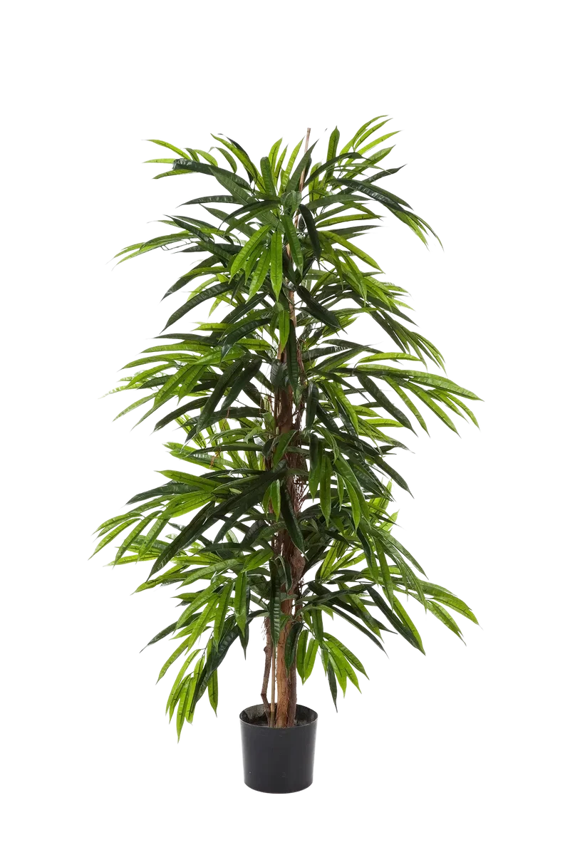 Künstliche Longifolia - Maurice | 210 cm