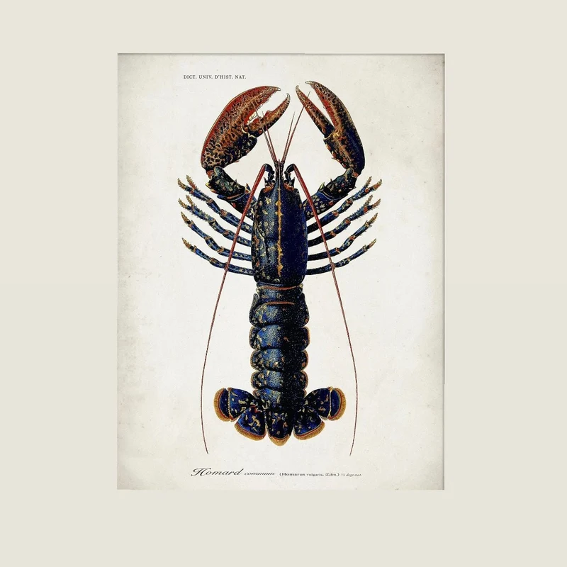 Kunstdruck 'Lobster' Poster - The Dybdahl Co