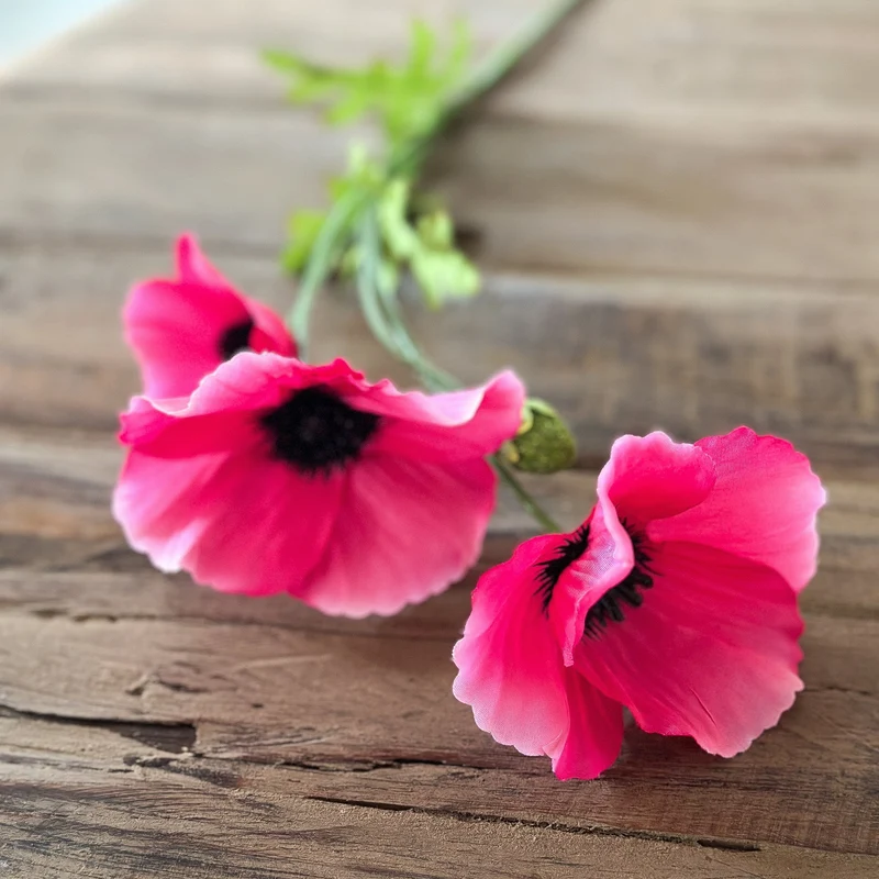 Blume Zweig "Summer Poppy" künstlich 2 Farben 63cm