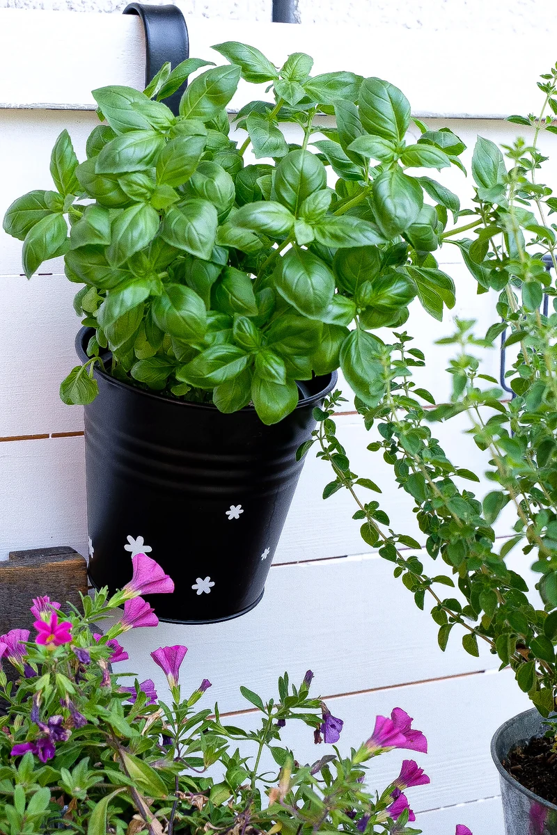 Aufkleber "Kleine Blüten"
