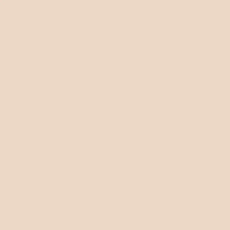 Wand - Farrow & Ball - Setting Plaster No. 231