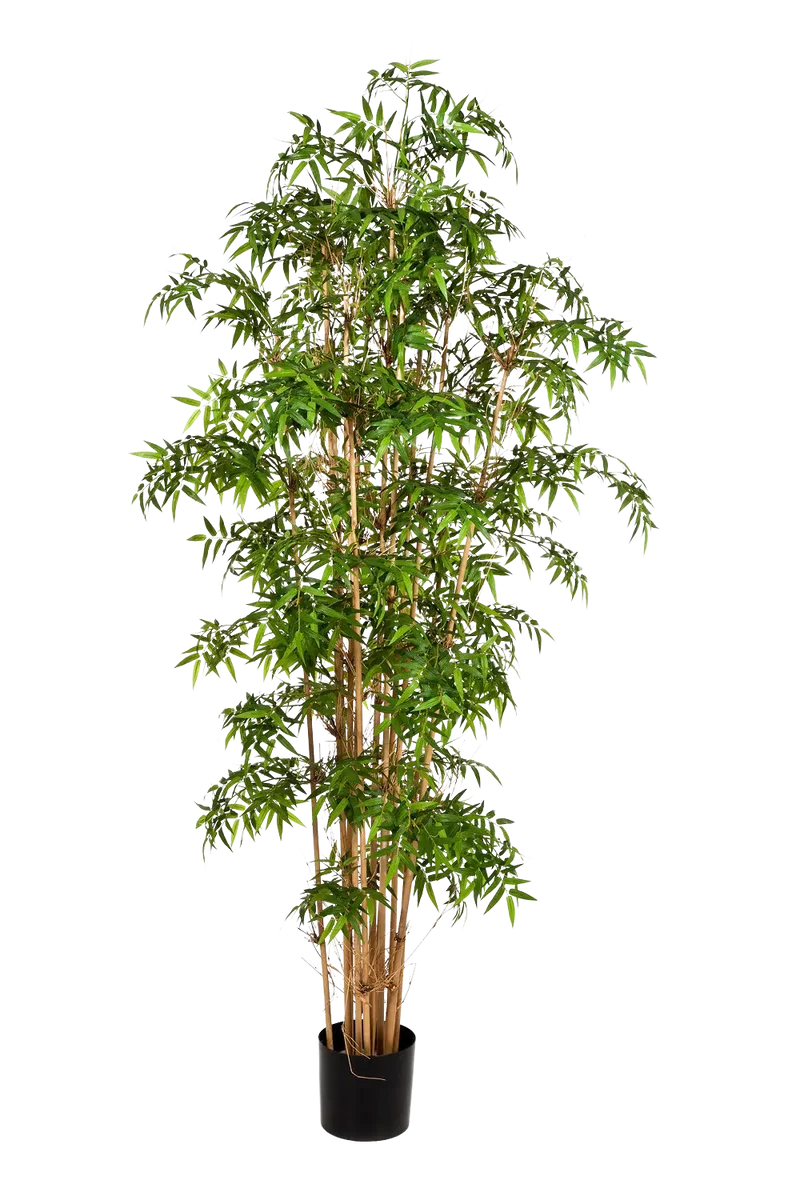 Künstlicher Bambus - Lucia | 200 cm
