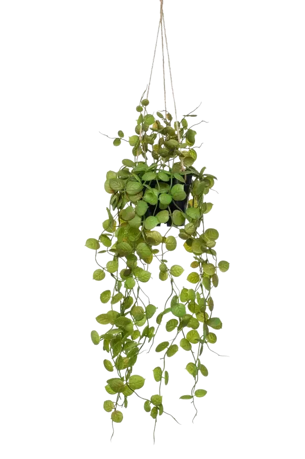 Künstliche Hänge-Leuchterblume - Konrad | 50 cm