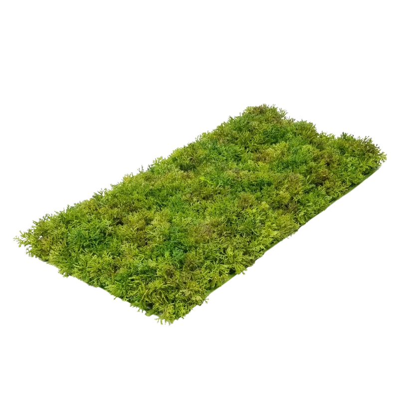 Künstliche Moosmatte - Aloisia | 25x50cm