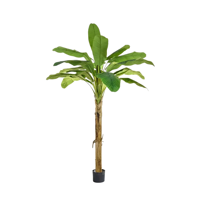 Künstlicher Bananenbaum - Jonas | 180 cm
