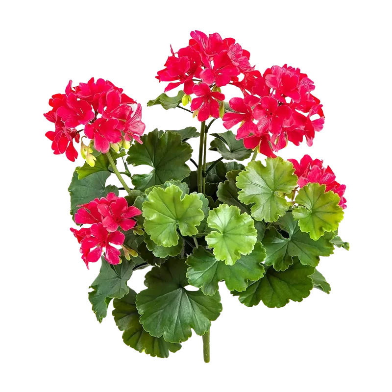 Künstliche Geranie - Madita | 39 cm, Steckpflanze