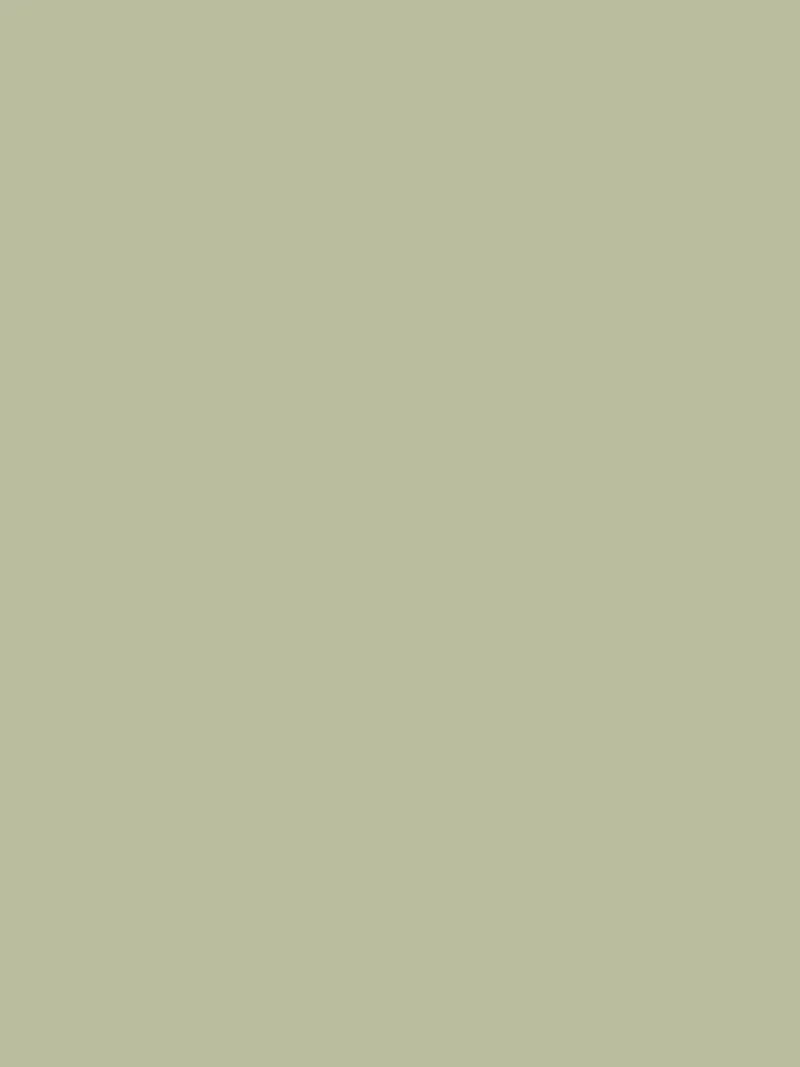 Wand - Farrow & Ball - Vert De Terre No. 234